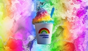 Buying a franchise low cost